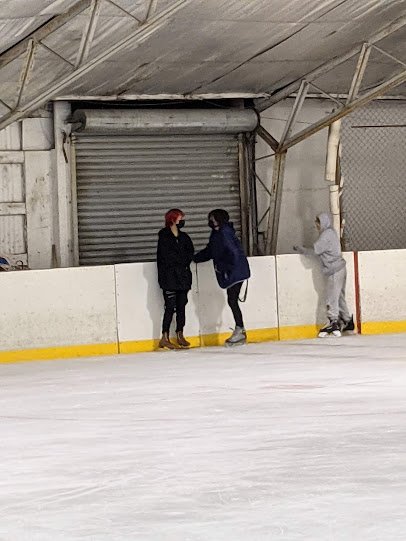 Ice Rink photo 5