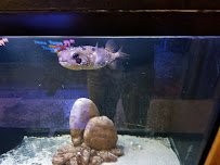 Aquatic Evolution LLC photo 3