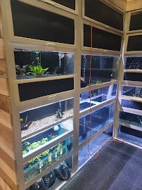 Aquatic Evolution LLC photo 5