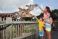 Zoo Miami photo 6