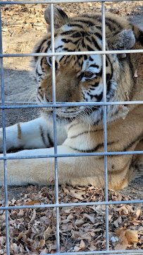 Riverside Discovery Center photo 3