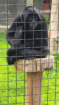 Riverside Discovery Center photo 4