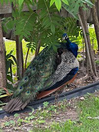 Riverside Discovery Center photo 5