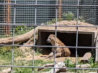 Riverside Discovery Center photo 6