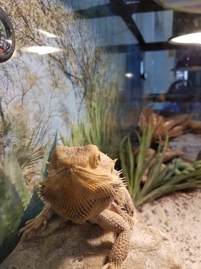 Jerome "Buddie" Ford Nature Center photo 5