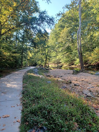 Jerome "Buddie" Ford Nature Center photo 6