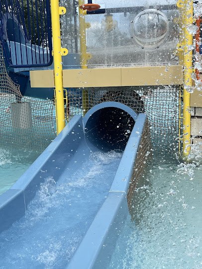 Fergus Falls Aquatic Center photo 4