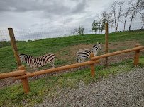 Lake Tobias Wildlife Park photo 3