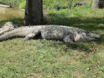 Lake Tobias Wildlife Park photo 6