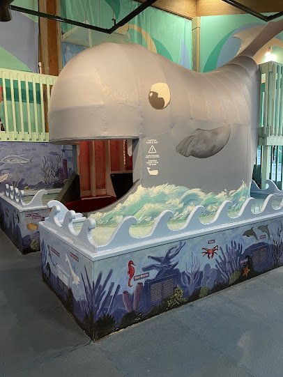 Monmouth Museum photo 5