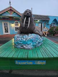 Aquarium Village photo 5