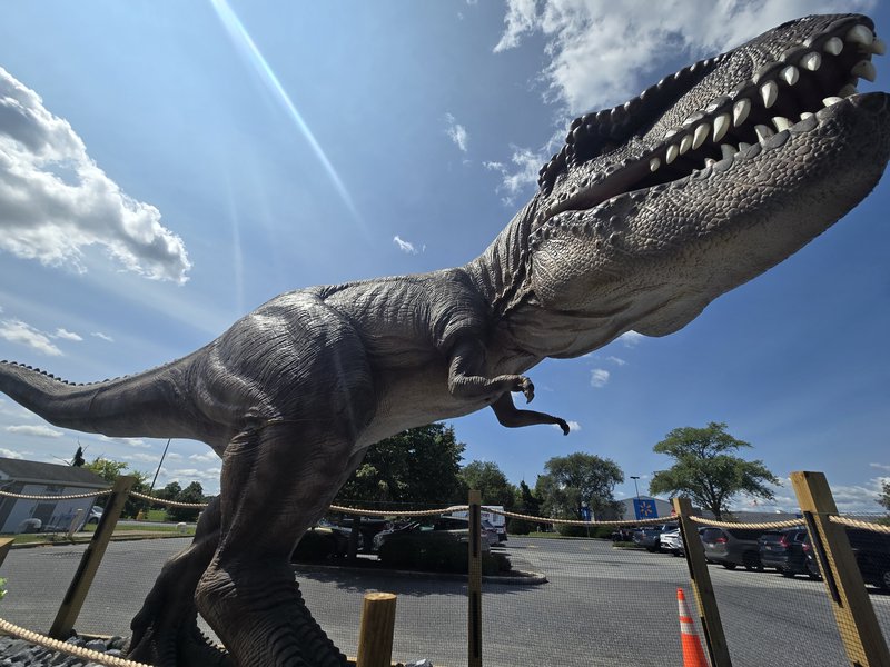 Nick's Mini Golf - Nick's Jurassic Golf Rehoboth