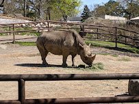 Little Rock Zoo photo 5