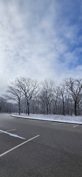 Zoo Woods photo 3