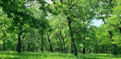 Zoo Woods photo 4
