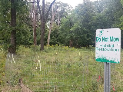 Zoo Woods photo 6