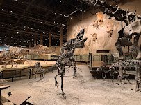 Natural History Museum of Utah