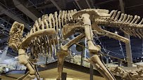 Natural History Museum of Utah photo 2