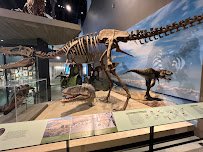 Natural History Museum of Utah photo 4