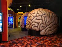 The Health Museum photo 4