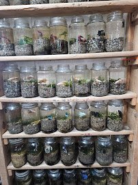 Ocean Aquarium photo 3