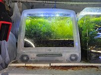 Ocean Aquarium photo 4