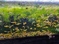 Ocean Aquarium photo 5