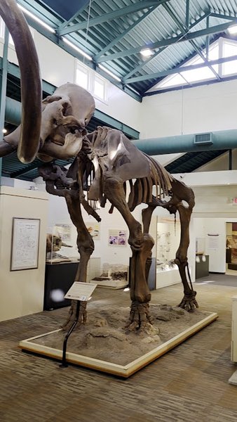 Silver River Museum & Environmental Education Center photo 2