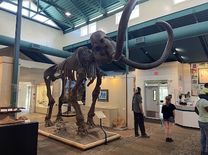 Silver River Museum & Environmental Education Center photo 3