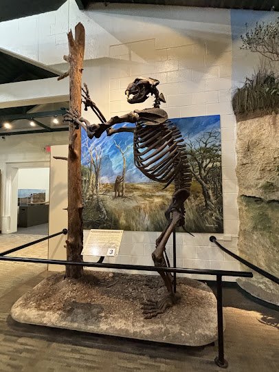 Silver River Museum & Environmental Education Center photo 4