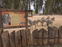 Wildlife World Zoo, Aquarium & Safari Park photo 3