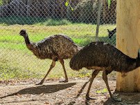 Wildlife World Zoo, Aquarium & Safari Park photo 4