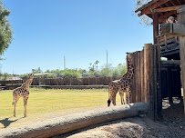 Wildlife World Zoo, Aquarium & Safari Park photo 6