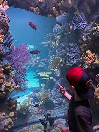 Point Defiance Zoo & Aquarium Gate 6