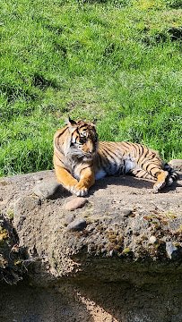 Point Defiance Zoo & Aquarium Gate 6 photo 3