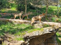 Point Defiance Zoo & Aquarium Gate 6 photo 4