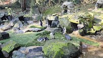 Point Defiance Zoo & Aquarium Gate 6 photo 6