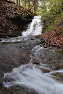 Cayuga Nature Center photo 6