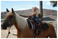 Pony Land: Pony Rides & Petting Zoo