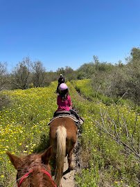Pony Land: Pony Rides & Petting Zoo photo 4