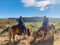 Pony Land: Pony Rides & Petting Zoo photo 5