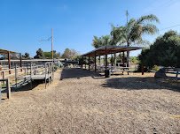 Pony Land: Pony Rides & Petting Zoo photo 6