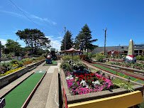 Novelty Golf & Games