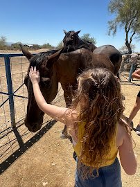 One Of A Kind Petting Zoo photo 2