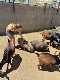 One Of A Kind Petting Zoo photo 3