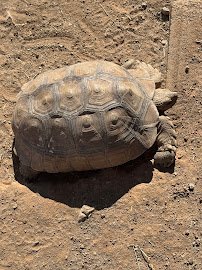 One Of A Kind Petting Zoo photo 5