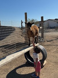One Of A Kind Petting Zoo photo 6