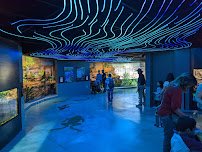 Wildlife Explorers Basecamp