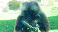 Wildlife Explorers Basecamp photo 2