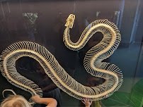 Wildlife Explorers Basecamp photo 3